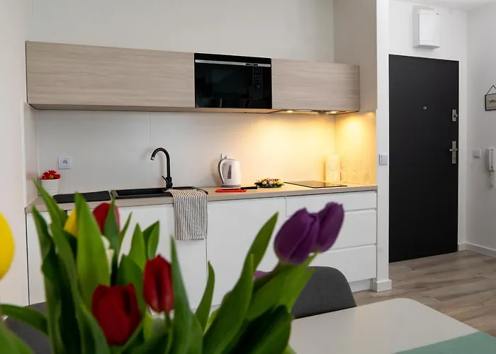 Baltica Apartament Przy Samej Plazy